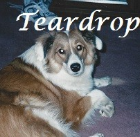 Teardrop 